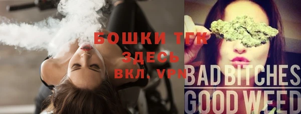 прущие крисы Балахна